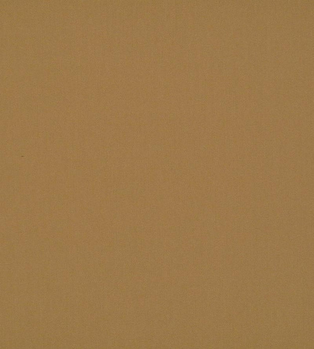 Old World Weavers Rio Brazilnut Fabric Sample VPRIO17002