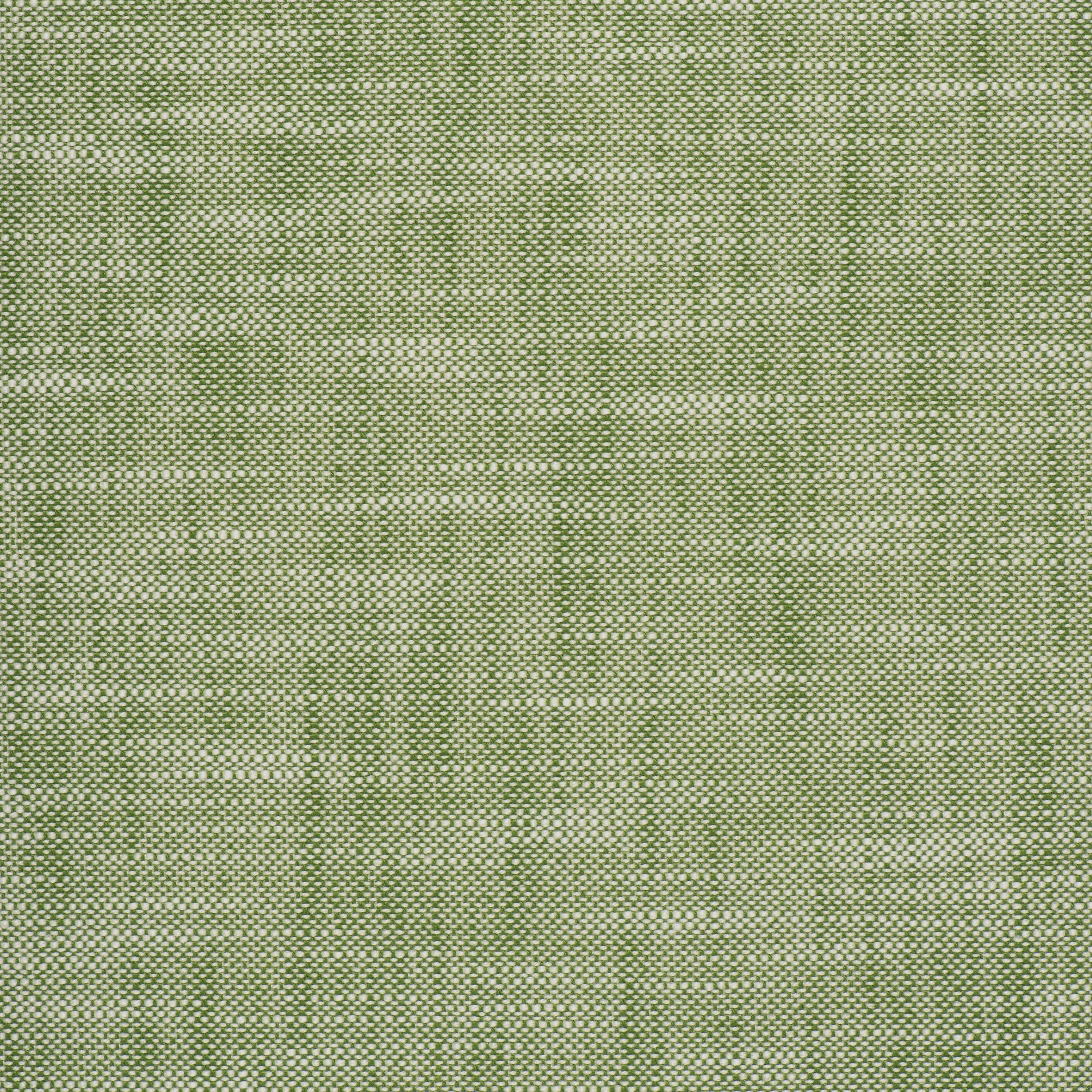 Scalamandre Neoma Basil Fabric Sample VW01170017
