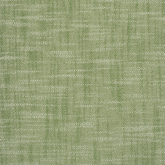 Scalamandre Neoma Basil Fabric Sample VW01170017