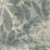 Brentano Vivaldi Spix Macaw Fabric 5819-08