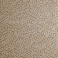Clarke & Clarke Playa Antique Wallpaper W0058/01.CAC.0