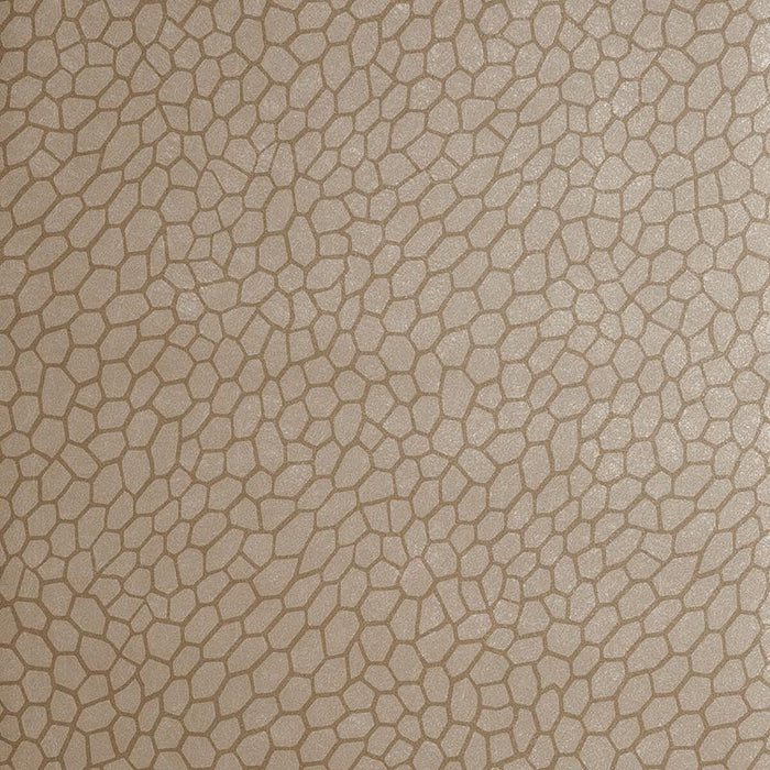Clarke & Clarke Playa Antique Wallpaper Sample W0058/01.CAC.0