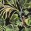 Clarke & Clarke Monkey Business Ebony Wallpaper W0083/01.CAC.0