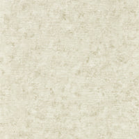 Clarke & Clarke Impression Natural Wp Wallpaper W0152/02.CAC.0