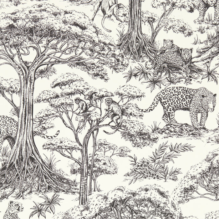 Clarke & Clarke Kisumu Noir Wp Wallpaper Sample W0185/03.CAC.0
