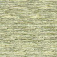 Clarke & Clarke Xan Palm Wp Wallpaper W0192/04.CAC.0