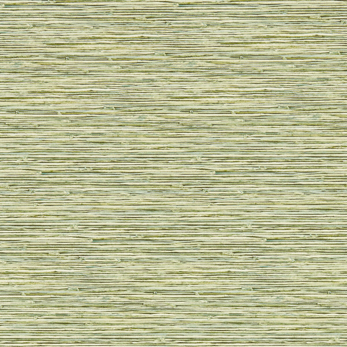 Clarke & Clarke Xan Palm Wp Wallpaper Sample W0192/04.CAC.0