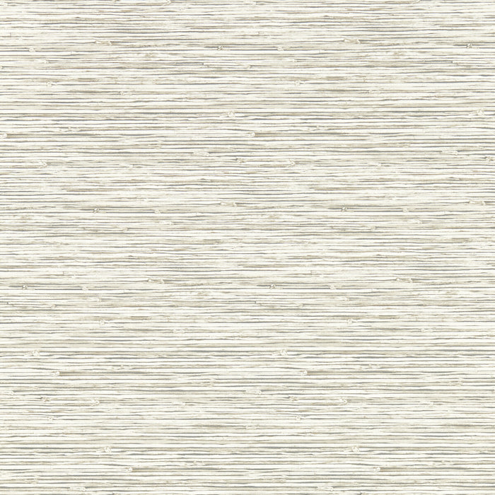 Clarke & Clarke Xan Parchment Wp Wallpaper Sample W0192/05.CAC.0