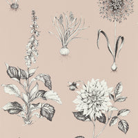 Clarke & Clarke Roseraie Blush Wp Wallpaper W0197/01.CAC.0
