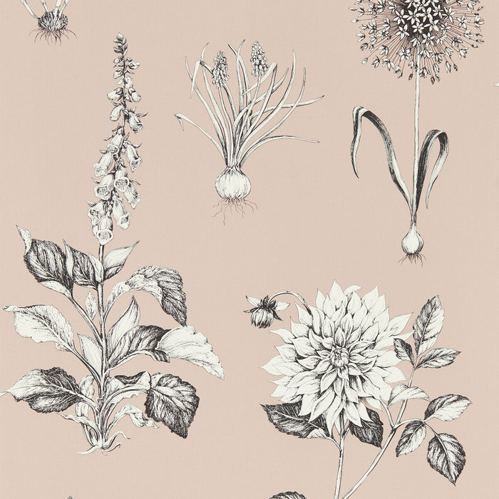 Clarke & Clarke Roseraie Blush Wp Wallpaper W0197/01.CAC.0