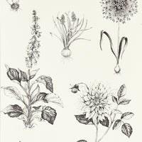 Clarke & Clarke Roseraie Charcoal Wp Wallpaper W0197/02.CAC.0