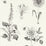 Clarke & Clarke Roseraie Charcoal Wp Wallpaper W0197/02.CAC.0