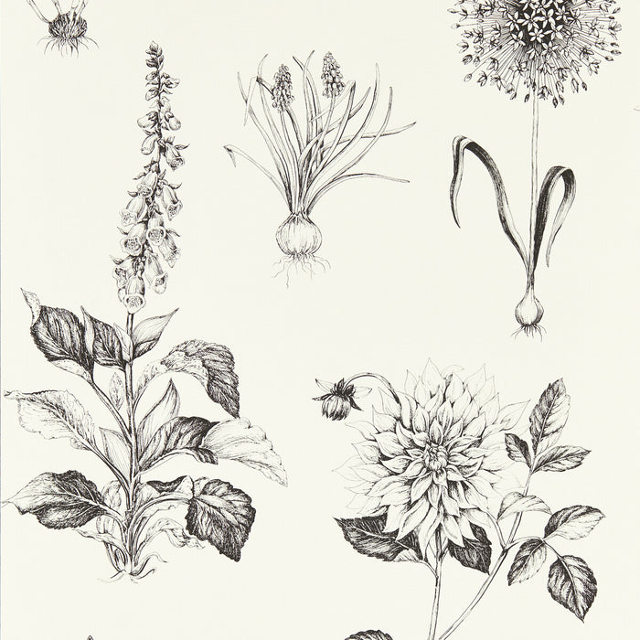 Clarke & Clarke Roseraie Charcoal Wp Wallpaper W0197/02.CAC.0