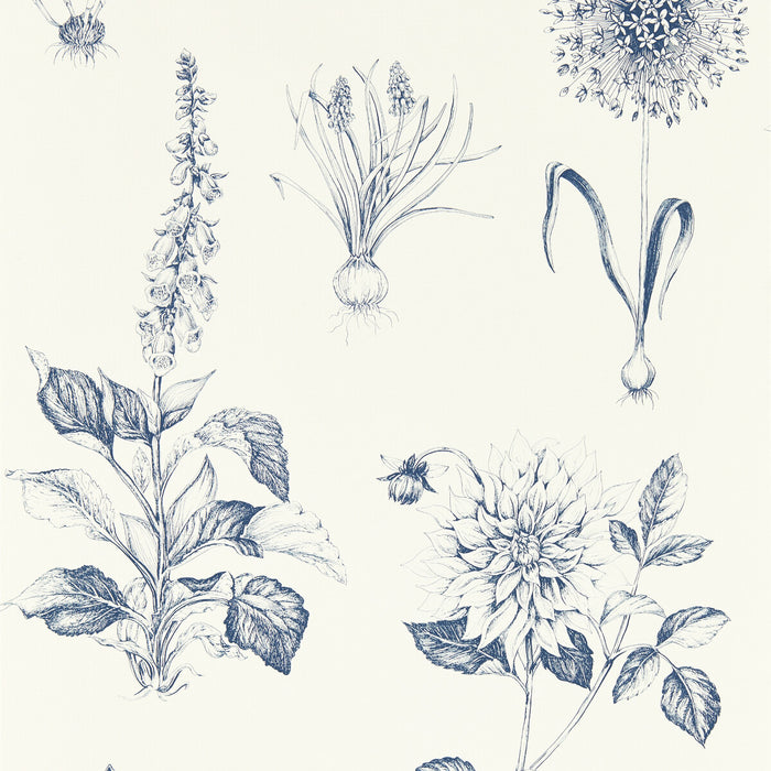 Clarke & Clarke Roseraie Midnight Wp Wallpaper Sample W0197/03.CAC.0