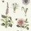 Clarke & Clarke Roseraie Summer Wp Wallpaper W0197/05.CAC.0