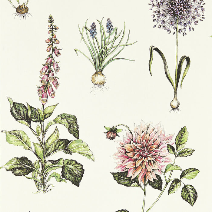 Clarke & Clarke Roseraie Summer Wp Wallpaper Sample W0197/05.CAC.0