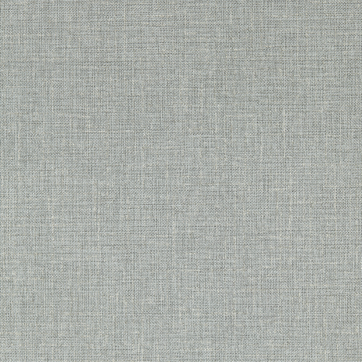 Clarke & Clarke Sirpo Slate Wp Wallpaper Sample W0210/04.CAC.0
