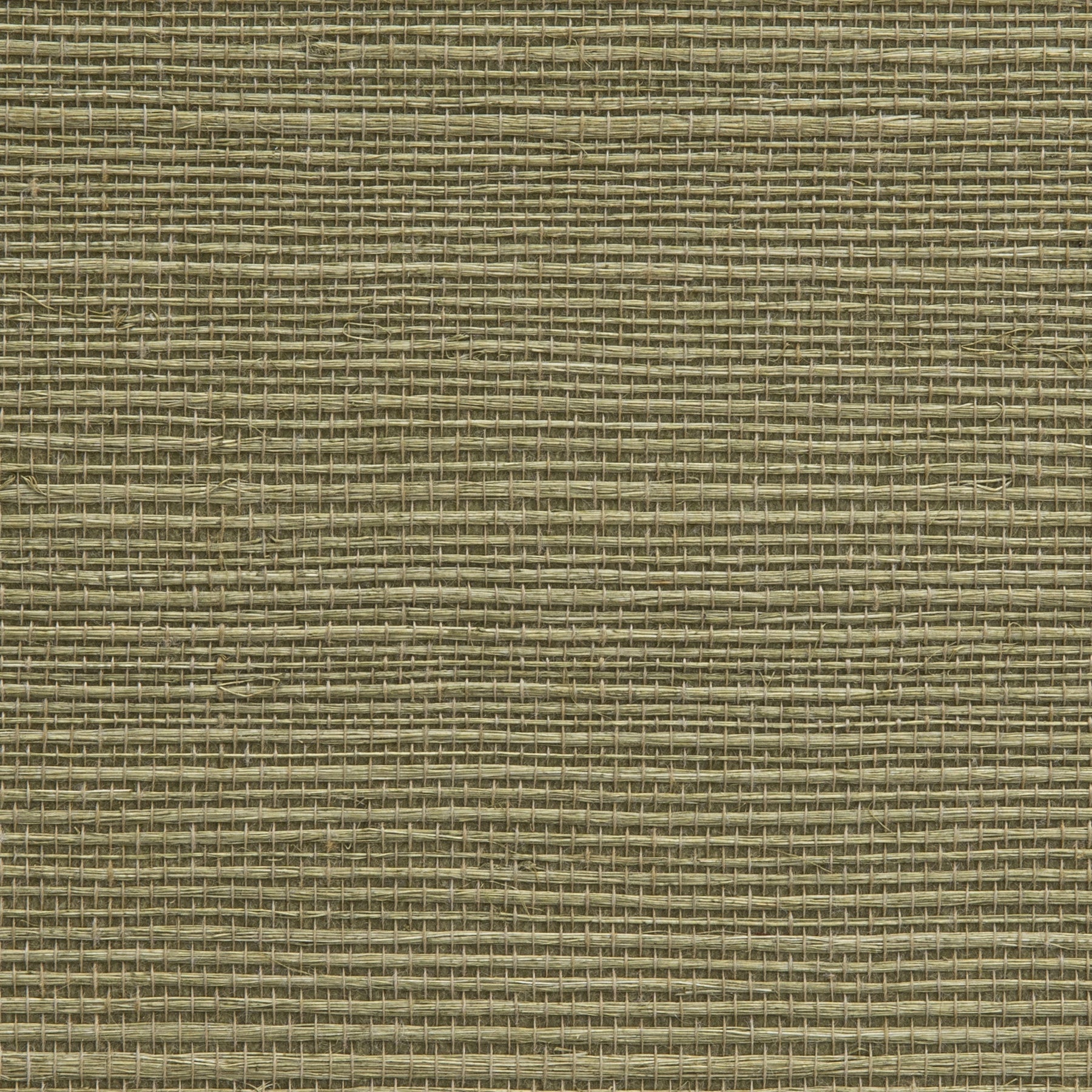 Holly Hunt Walls Tanga Sage Wallpaper Sample W1081/09