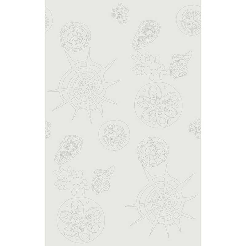 Kravet Couture Telescopic P Mercury Wallpaper Sample W3585.1.0