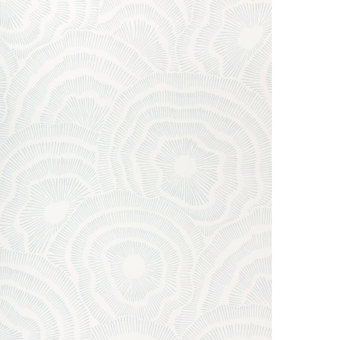 Kravet Couture Panache Wp Sky Wallpaper W3823.115.0