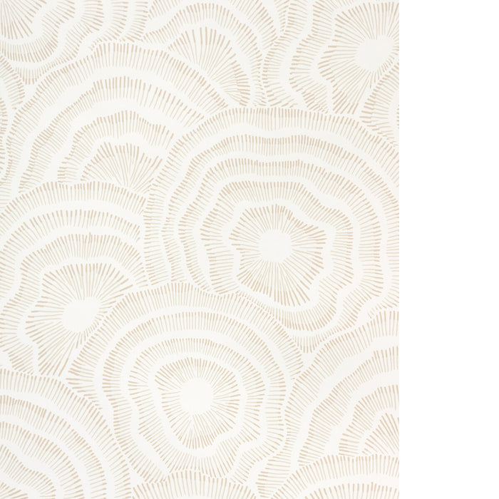 Kravet Couture Panache Wp Natural Wallpaper Sample W3823.16.0