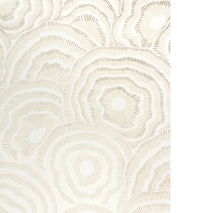 Kravet Couture Panache Wp Champagne Wallpaper Sample W3823.4.0