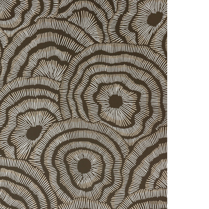 Kravet Couture Panache Wp Chocolate Wallpaper W3823.6116.0