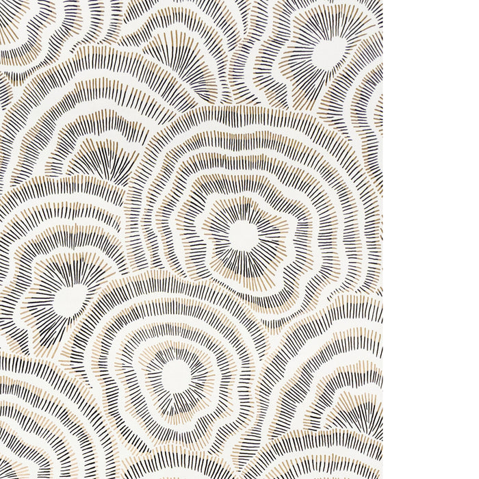 Kravet Couture Panache Wp Onyx Wallpaper Sample W3823.84.0
