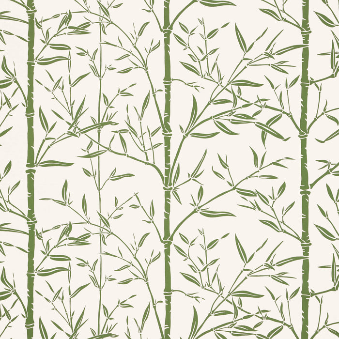 Kravet Couture Bamboo Wp Cactus Wallpaper Sample W4258.31.0