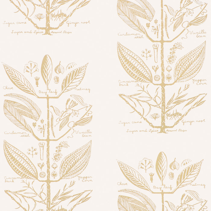 Kravet Couture Sugar And Spice Wp Sand Wallpaper W4263.16.0