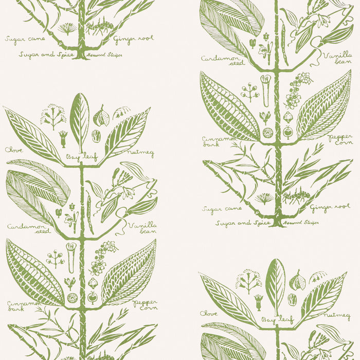 Kravet Couture Sugar And Spice Wp Cactus Wallpaper W4263.30.0