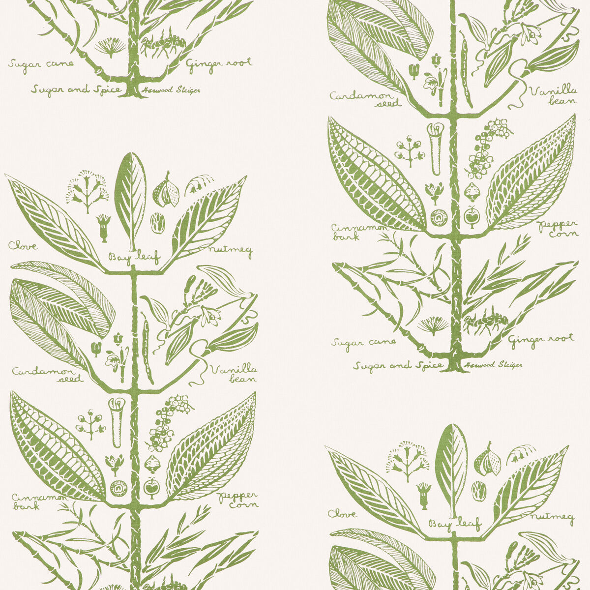 Kravet Couture Sugar And Spice Wp Cactus Wallpaper Sample W4263.30.0