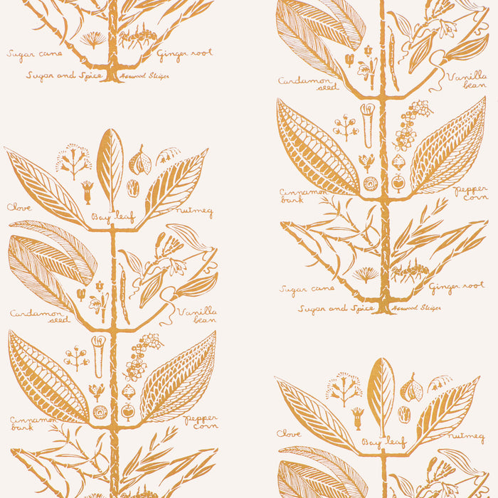 Kravet Couture Sugar And Spice Wp Gold Wallpaper W4263.404.0