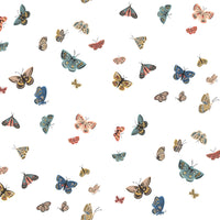 Kravet Design W4289.51.0 Wallpaper