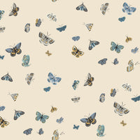 Kravet Design W4289.540.0 Wallpaper