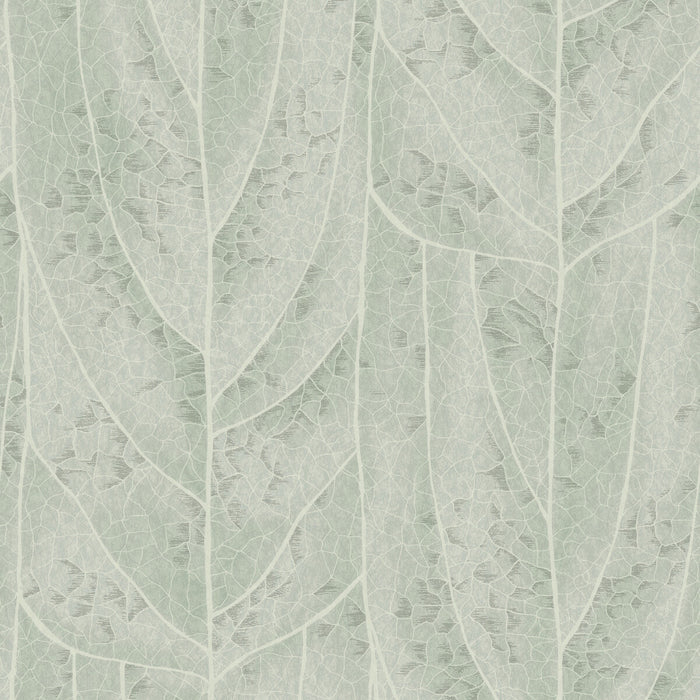 Kravet Design W4308.135.0 Wallpaper