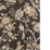 Kravet Couture Symphony Wp Chocolate Wallpaper W4420.66.0