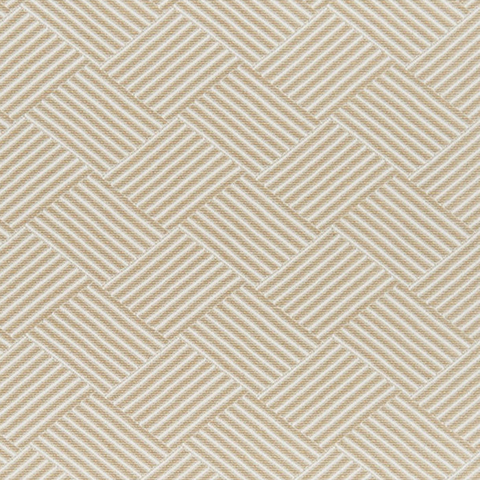 JF Fabrics Waldo 31 Fabric Sample 5967831