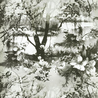 Jean Paul Gaultier Brume Ecru/Noir Wallpaper WH033070001