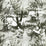Jean Paul Gaultier Brume Ecru/Noir Wallpaper WH033070001