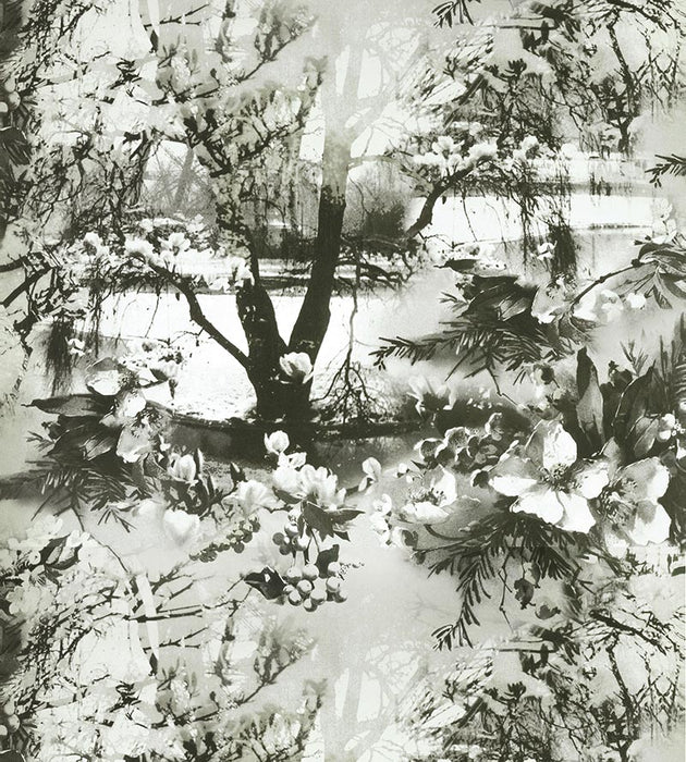 Jean Paul Gaultier Brume Ecru/Noir Wallpaper Sample WH033070001