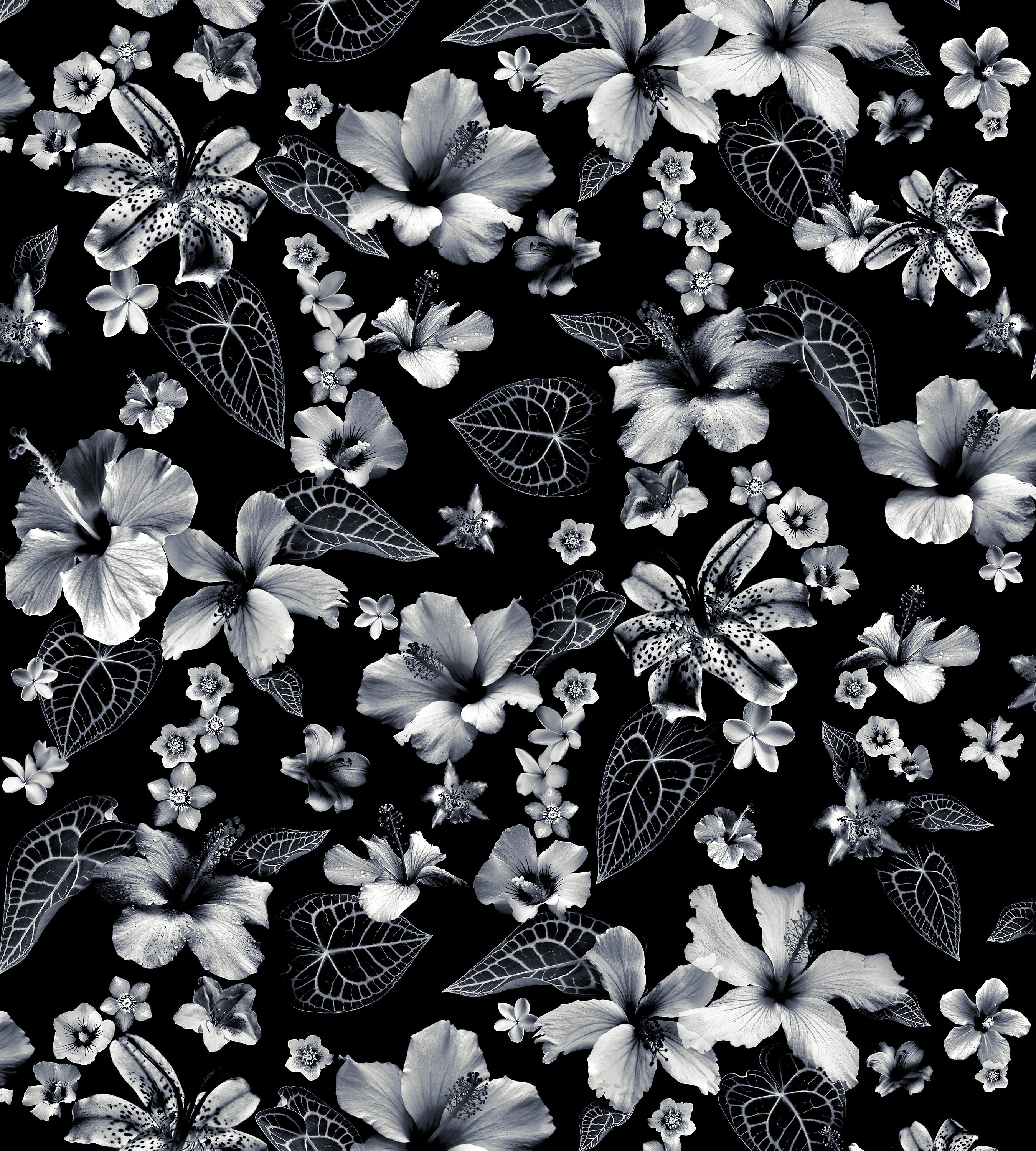 Jean Paul Gaultier Cariacou Noir Wallcovering Sample WH033400001