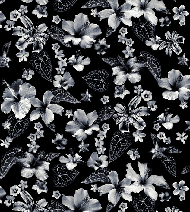 Jean Paul Gaultier Cariacou Noir Wallcovering Sample WH033400001