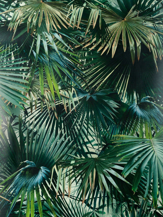Jean Paul Gaultier Polynesie Emeraude Wallpaper Sample WH033440002