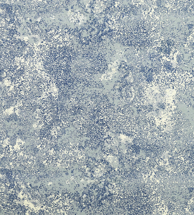 Lelievre Constellation Lichen Wallcovering Sample WH064520002