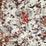 Jean Paul Gaultier Hirondelles Hiver Wallpaper WH033060004