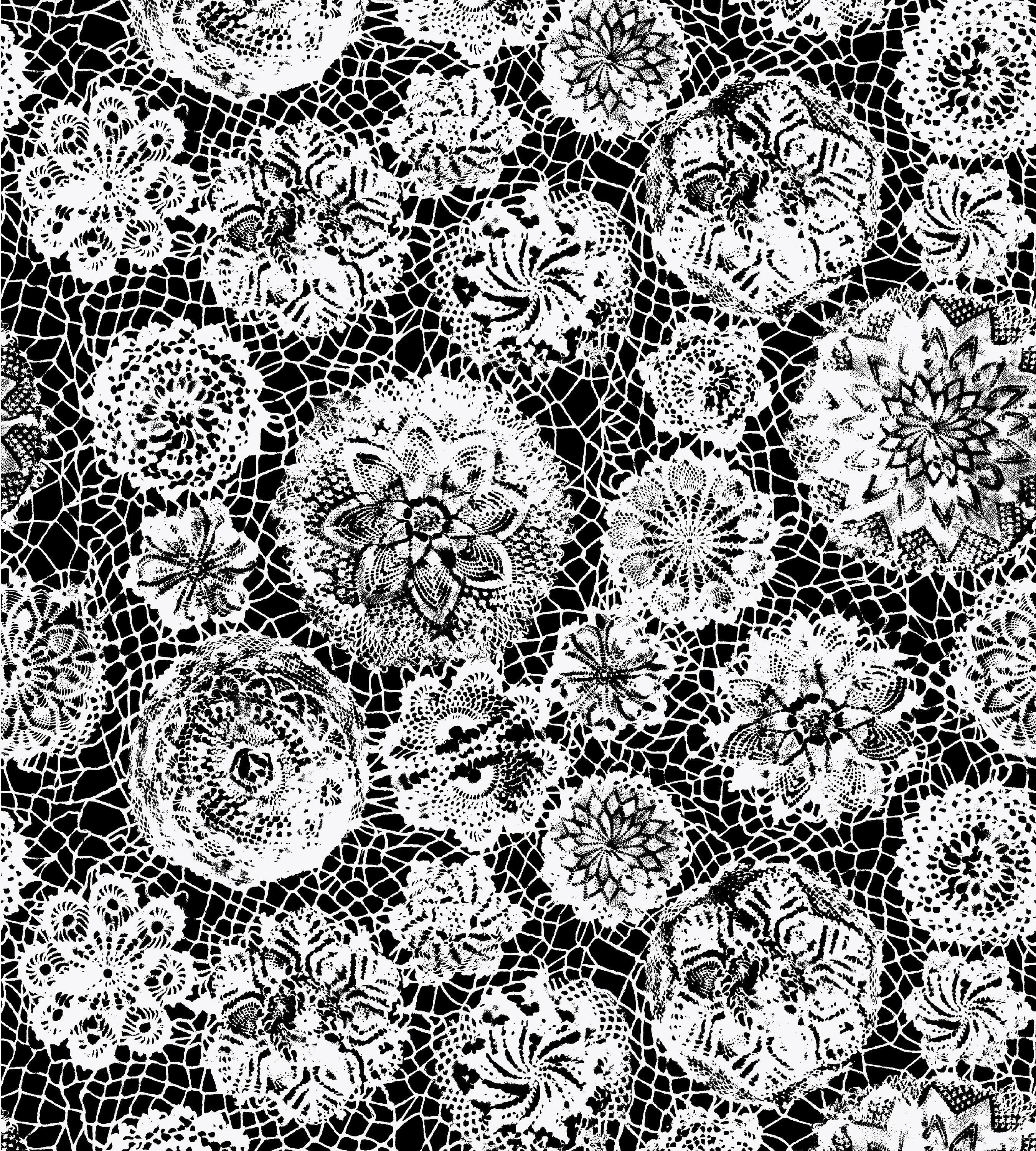 Jean Paul Gaultier Punto Madama Noir Wallcovering Sample WH033340004