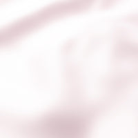 JF Fabrics Whisper 41 Fabric 4948241