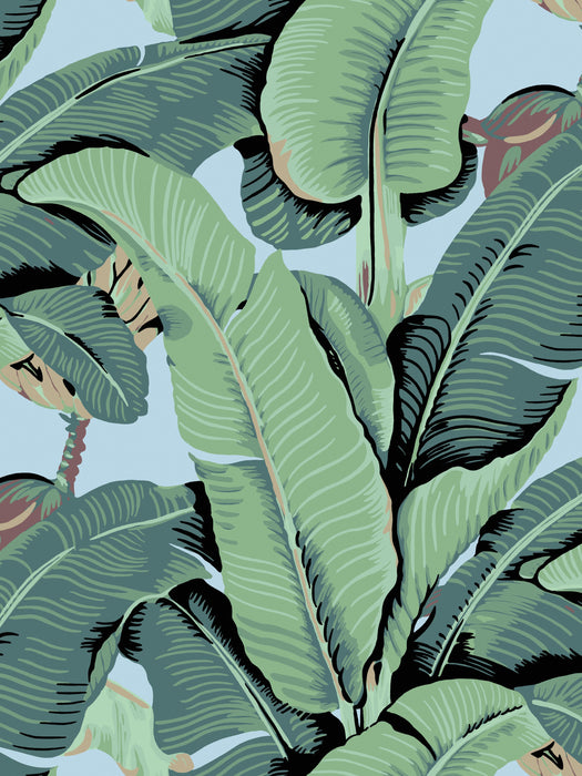 Hinson Hinson Palm - Wide Width Sky Wallpaper WHN44000D0002