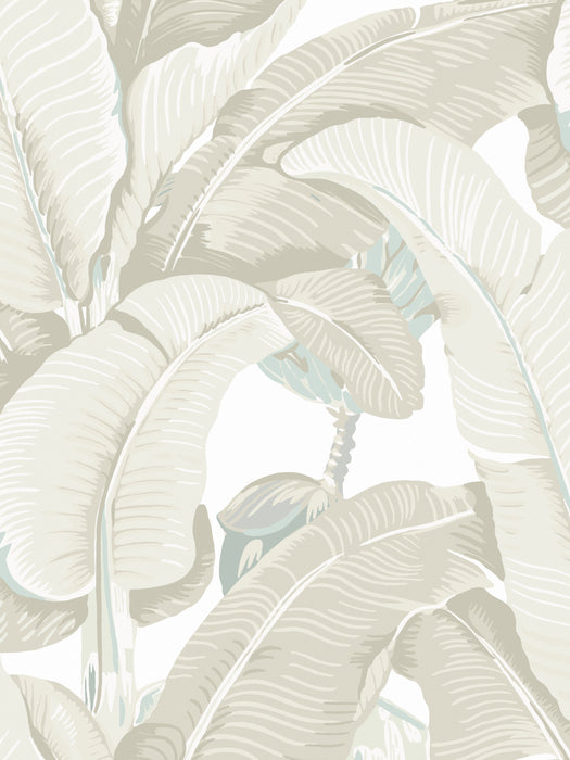 Hinson Hinson Palm Parchment Wallpaper WHN44000MD0005